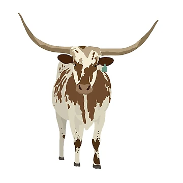 Vorschaubild zum Design Longhorn von Maddie Cerwinski