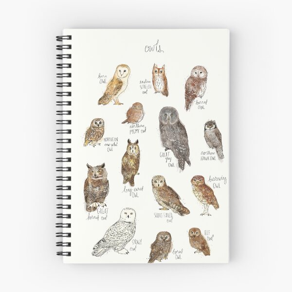 Item preview, Owls designed and sold by Amy Hamilton.