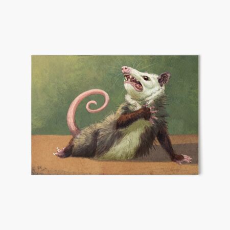 Artikelvorschau, Amateur Opossum Schauspielerin entworfen und verkauft von Rebecca Kriz Art.