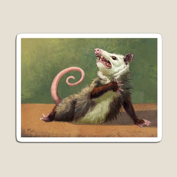 Artikelvorschau, Amateur Opossum Schauspielerin entworfen und verkauft von Rebecca Kriz Art.