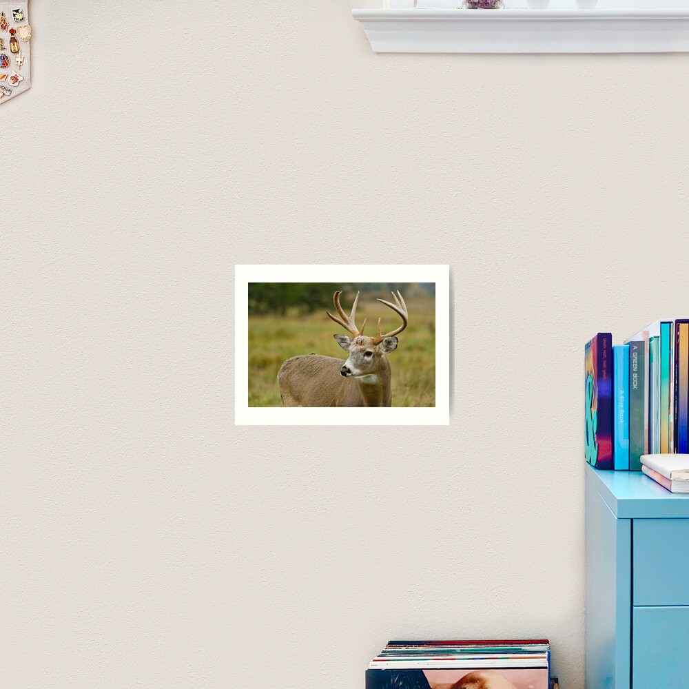 Item preview, Art Print designed and sold by Michael Cummings.