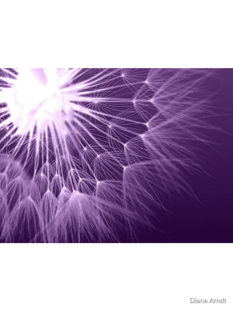 Thumbnail 7 of 7, Oversized T-Shirt, Dandelion. From The Back In Purple designed and sold by Diane Arndt.