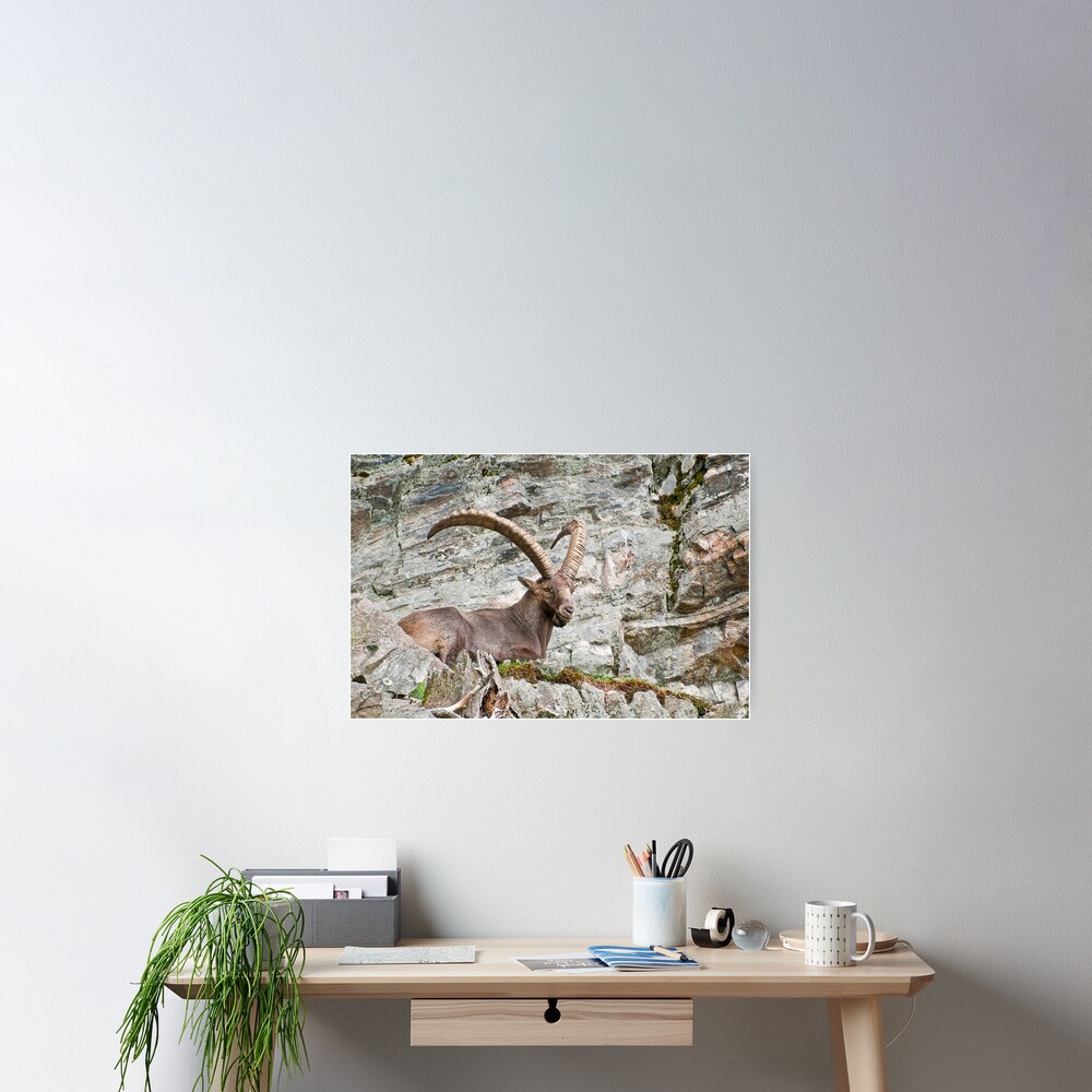 Item preview, Poster designed and sold by Michael Cummings.