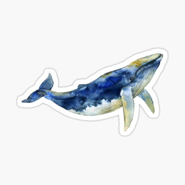 Item preview, Ballena azul designed and sold by Kate Vigdis.