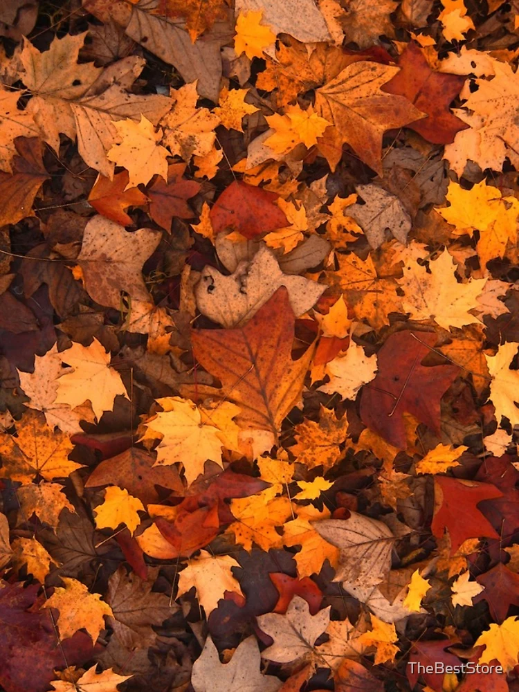 Thumbnail 5 of 5, iPhone Case, Fall Foliage Pattern designed and sold by TheBestStore.