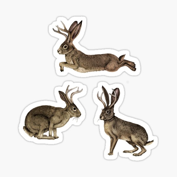 Artikelvorschau, Jackalopes und Wüstenbeifuß entworfen und verkauft von somecallmebeth.