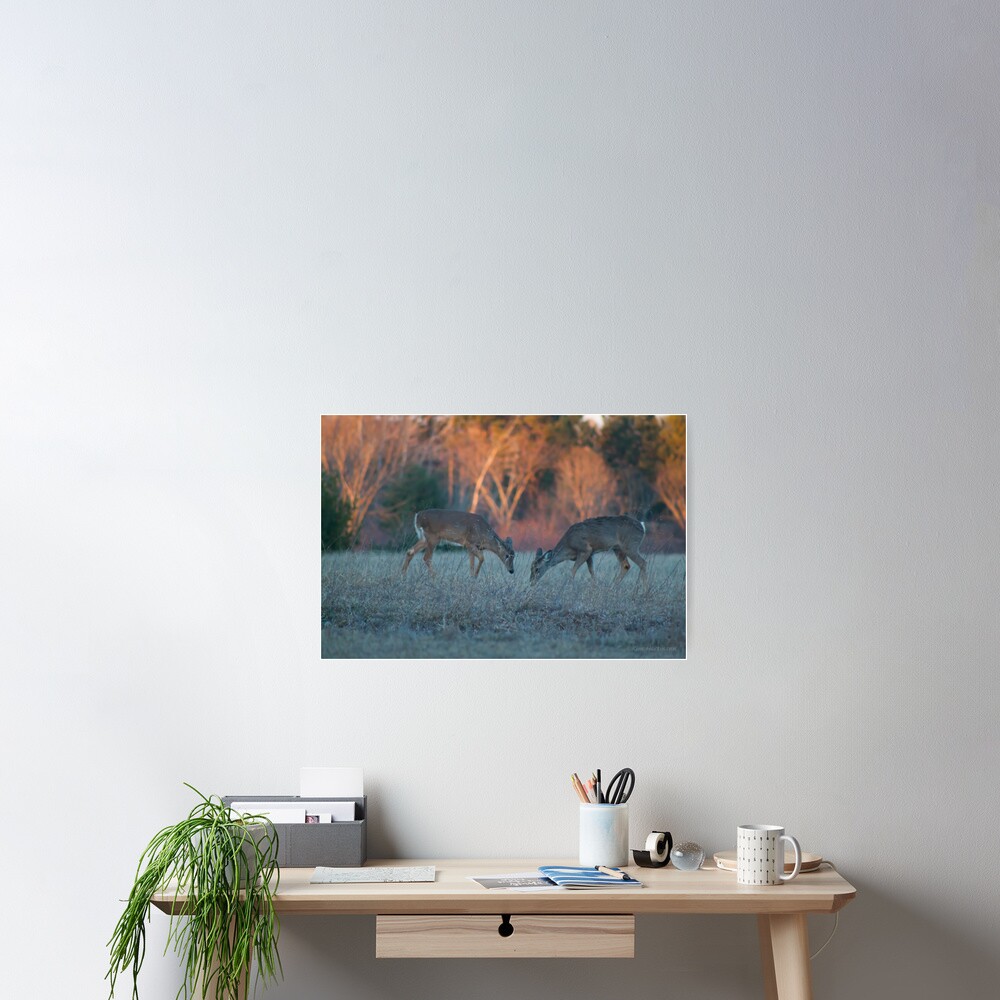 Item preview, Poster designed and sold by KHartmann.