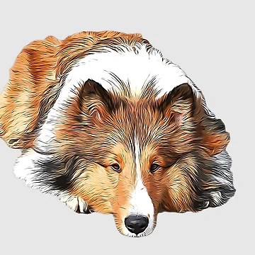 Artwork thumbnail, Rough Collie by ElegantCat