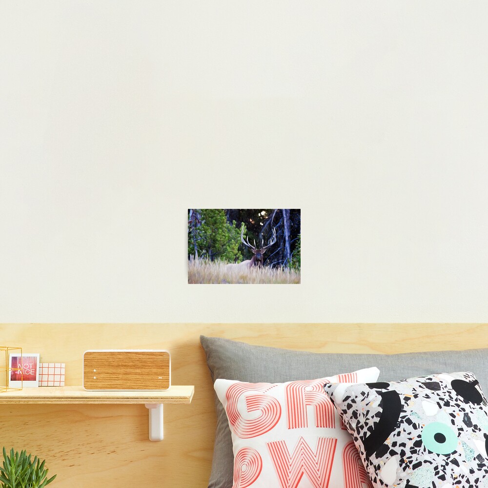 Item preview, Photographic Print designed and sold by Lana Trussell.