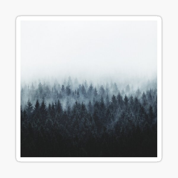 Aperçu de l'œuvre High And Low // Dark Romantasy Moody Wilderness Dream Forest With Cascadia Trees Covered In Fog créée et vendue par Tordis Kayma.