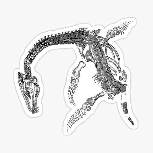 Item preview, Plesiosaurus macrocéfalo designed and sold by diologic.