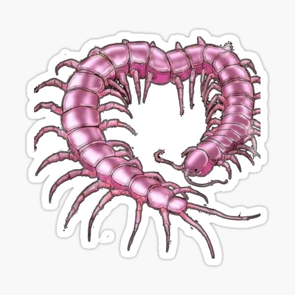 Artikelvorschau, Süßer rosa Weirdcore Tausendfüßler entworfen und verkauft von skullcore.