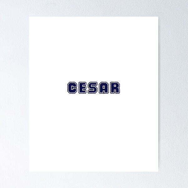Aperçu de l'œuvre CESAR créée et vendue par yalinsolomon.