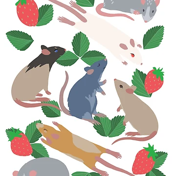 Aperçu de l'œuvre Rats à la fraise de Adrielle-art