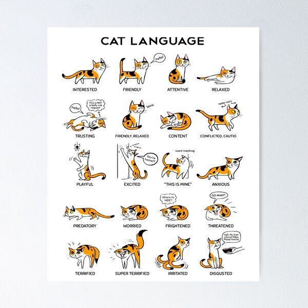 Artikelvorschau, Katzensprache Poster Geschenk für Miau süß entworfen und verkauft von Harrison-Dream.