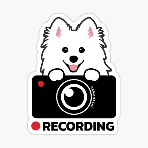 Aperçu de l'œuvre Enregistrement de chien Kawaii Spitz (caméraman, vidéo Dashcam, caméra de sécurité) créée et vendue par kamahachi.