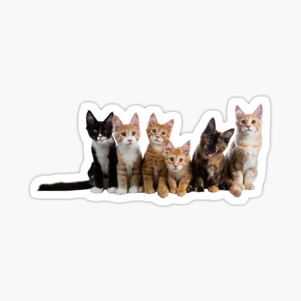 Artikelvorschau, Katzen entworfen und verkauft von artbyrosse.