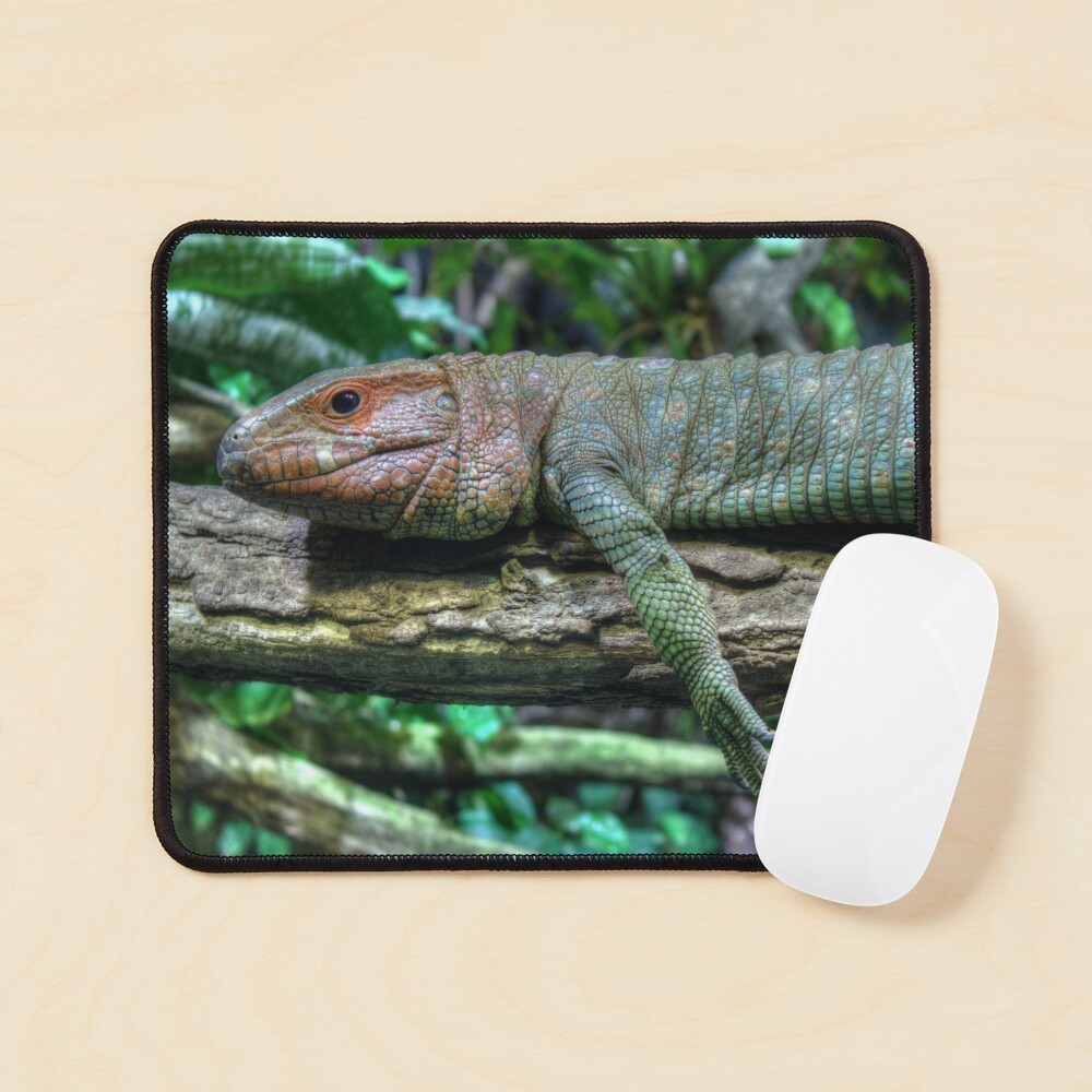 Item preview, Mouse Pad designed and sold by Mythos57.