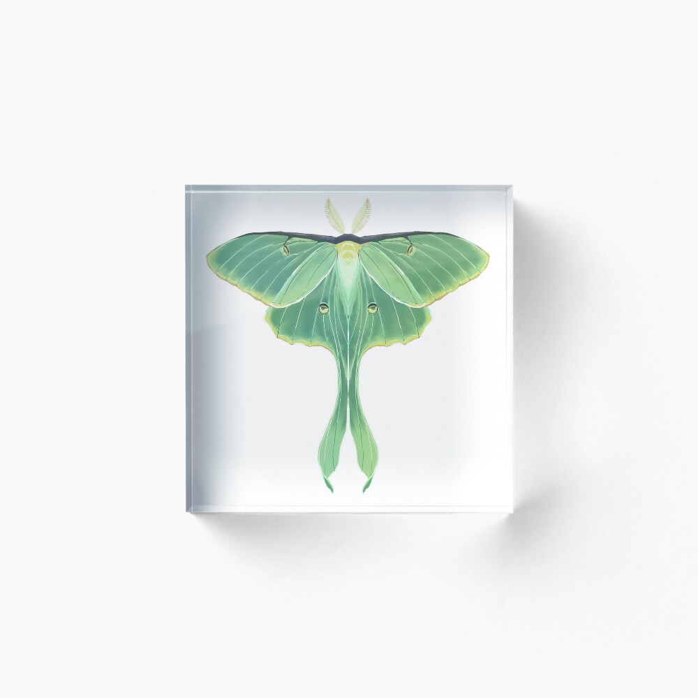 Item preview, Acrylic Block designed and sold by Reinsnos.