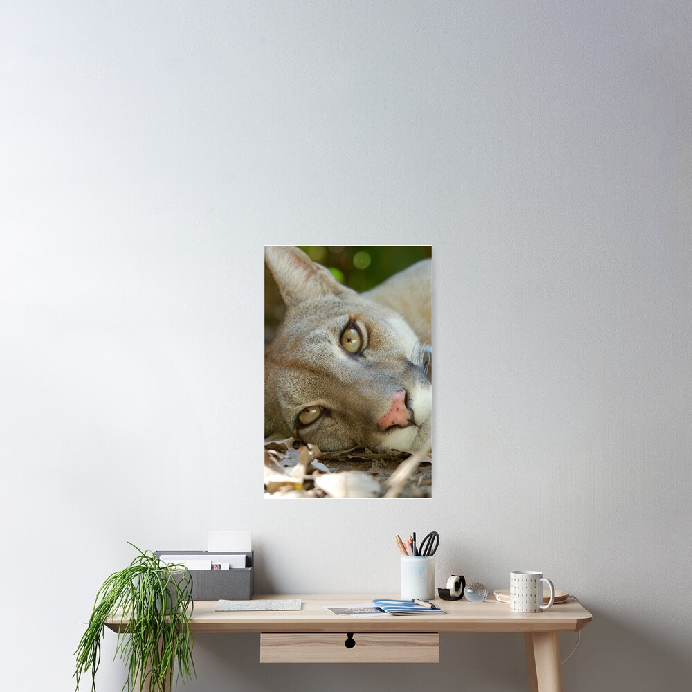 Item preview, Poster designed and sold by Laura Coleman.