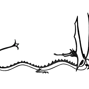 Imagen de la obra Smaug (negro) de The Cosmic Turtle