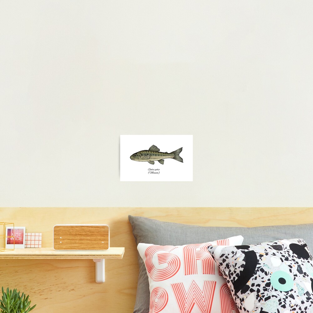 Item preview, Photographic Print designed and sold by Evgenia's Fish Art.