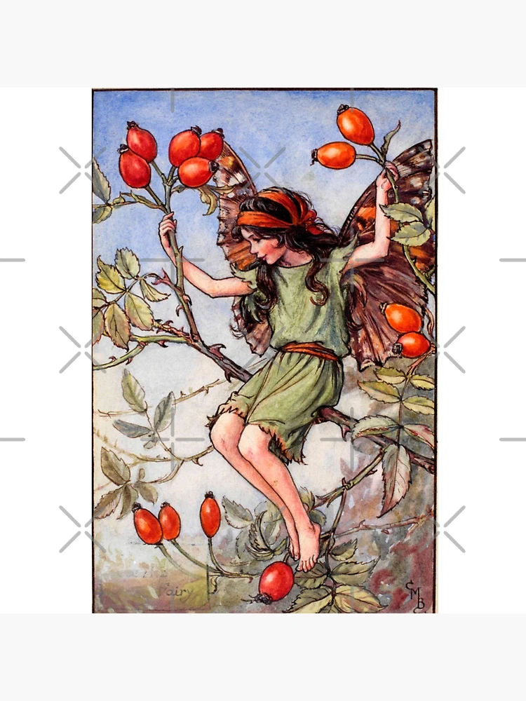 Thumbnail 3 of 3, Poster, The Rose Hip Fairy illustration designed and sold by Bellathewilde.
