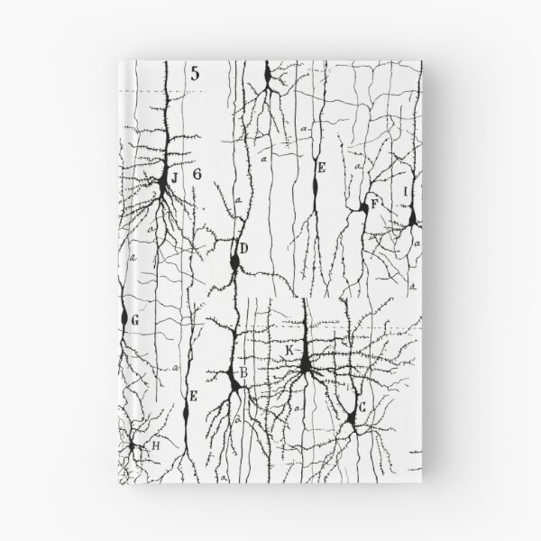 Item preview, Dibujo de células nerviosas de Santiago Ramón y Cajal designed and sold by ScienceSource.