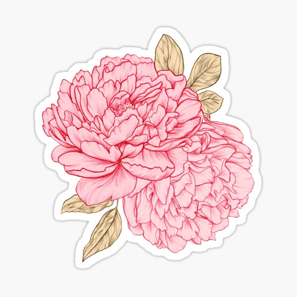 Item preview, peonías rosadas designed and sold by Laura OConnor.