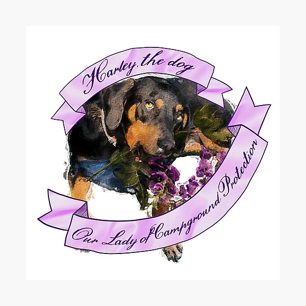 Artikelvorschau, harley der hund entworfen und verkauft von gracischiavo.