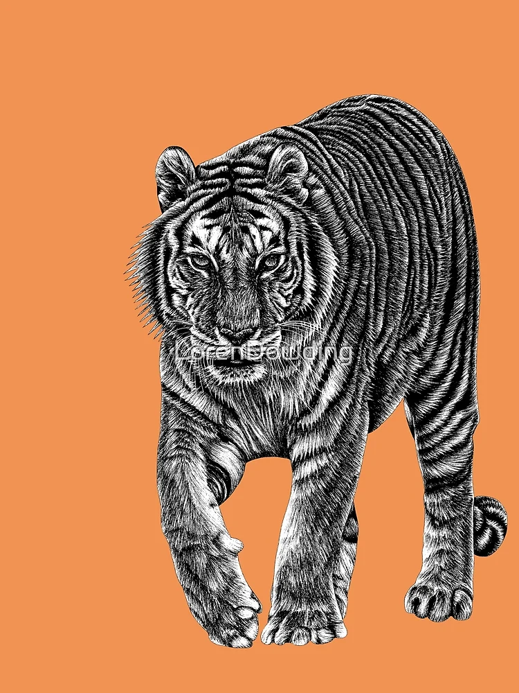 Thumbnail 4 of 4, Graphic T-Shirt, Amur tiger - orange designed and sold by LorenDowding.