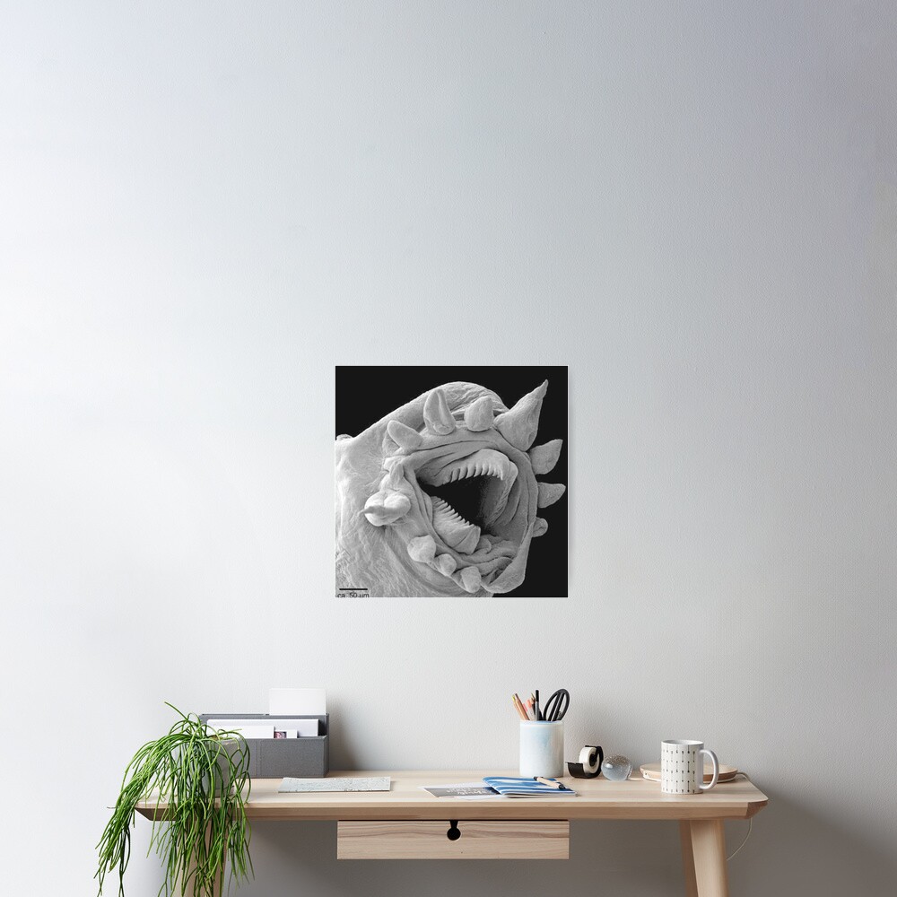 Item preview, Poster designed and sold by WinkyDoodle.