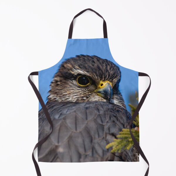 Item preview, Merlin Falcon designed and sold by Michael Cummings.