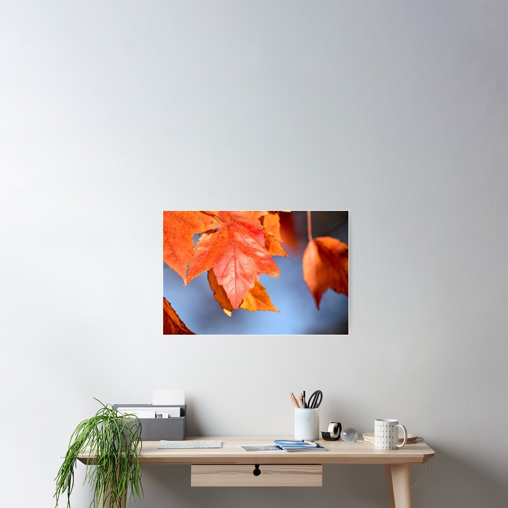 Item preview, Poster designed and sold by umeimages.