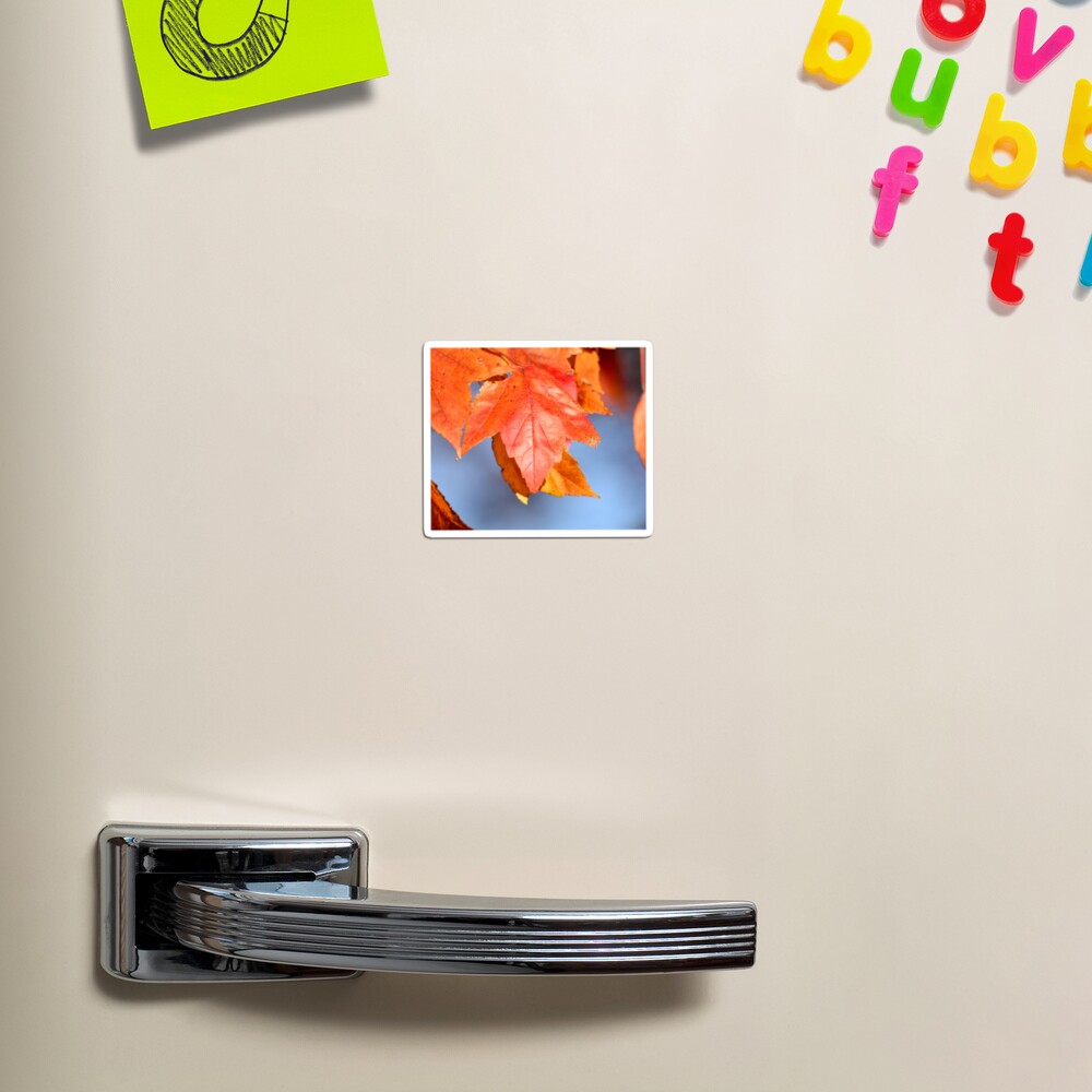 Item preview, Magnet designed and sold by umeimages.