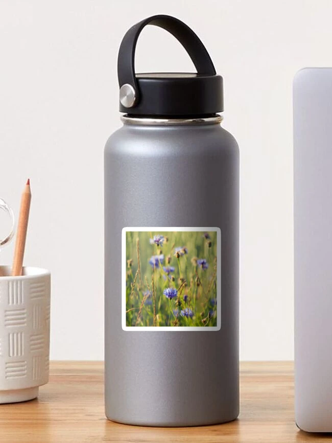 Thumbnail 1 of 3, Sticker, Cornflower designed and sold by ansaharju.