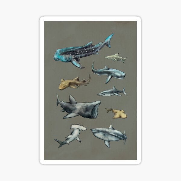 Item preview, Tiburones designed and sold by Maya Pantic.