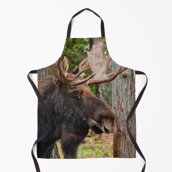 Item preview, Bull Moose designed and sold by Michael Cummings.