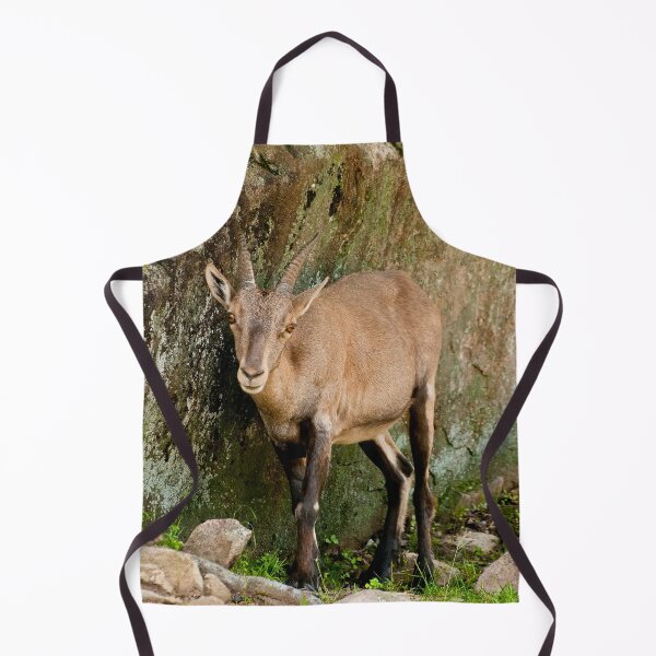 Item preview, Ibex designed and sold by Michael Cummings.