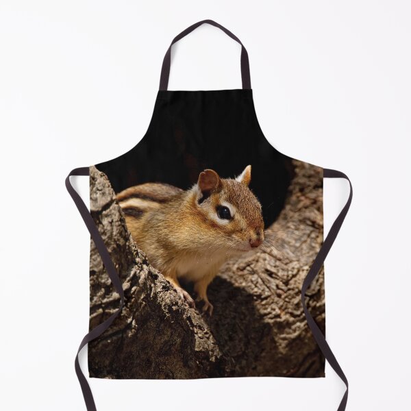Item preview, Chipmunk designed and sold by Michael Cummings.