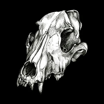 Artwork thumbnail, Canine Skull by Pip Tacla