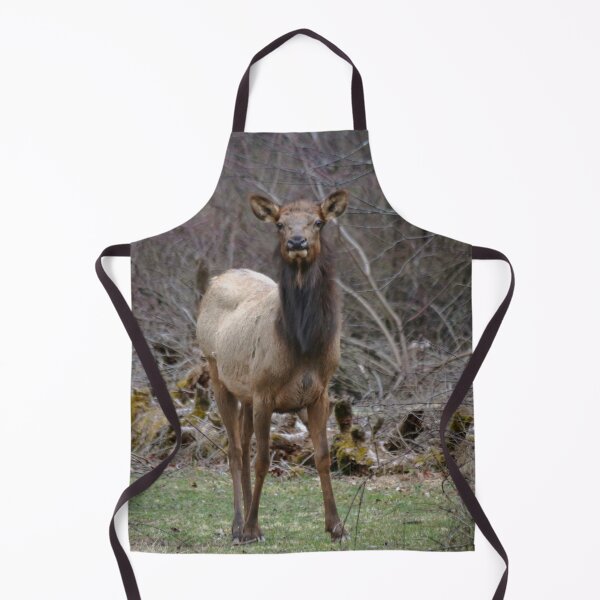 Item preview, Beautiful Cow Elk designed and sold by KC-IM.