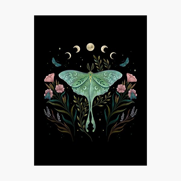 Aperçu de l'œuvre Luna et Forester créée et vendue par episodicDrawing.
