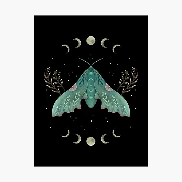 Aperçu de l'œuvre Luna et Papillon créée et vendue par episodicDrawing.