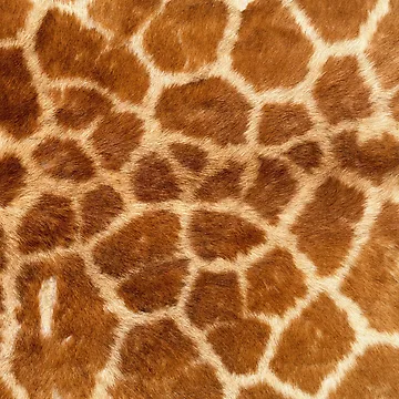 Artwork thumbnail, Giraffe Skin by Gymmer-Life
