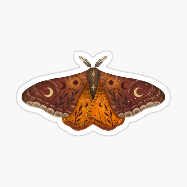 Aperçu de l'œuvre Papillon empereur créée et vendue par episodicDrawing.