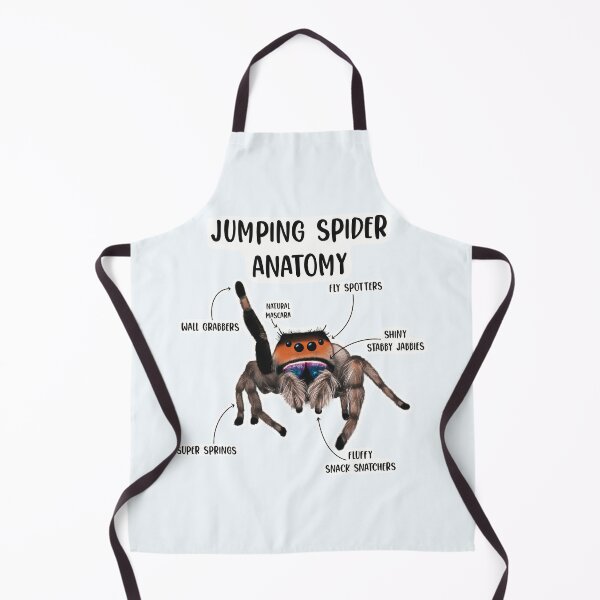Item preview, Jumping Spider Anatomy designed and sold by Spinyflowerart.
