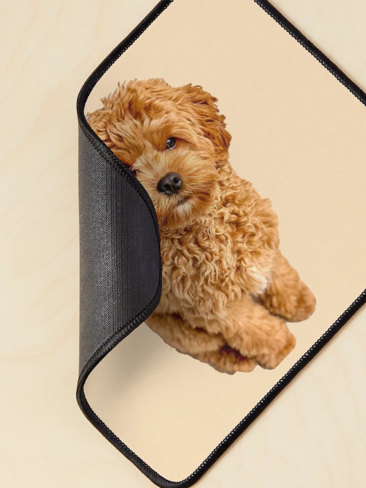 Thumbnail 2 of 5, Mouse Pad, Cavapoo designed and sold by thecavapootales.
