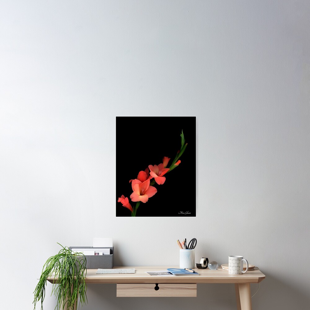 Item preview, Poster designed and sold by MazGhani.