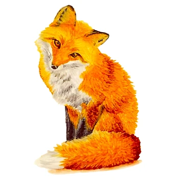 Artwork thumbnail, Cute Red Fox Illustration by Allison Tarell